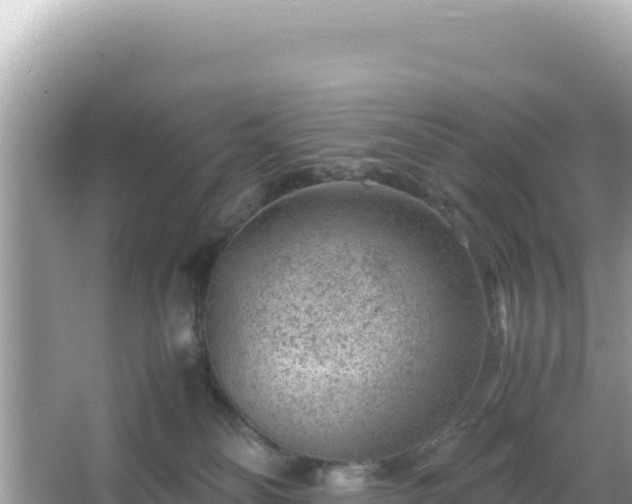 X0000066020134200603101632