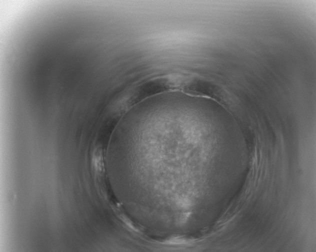 X0000066020137200603101632