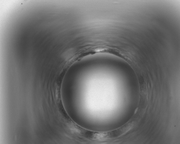 X0000066020139200603101632