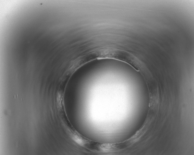 X0000066020142200603101632