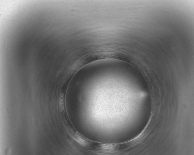 X0000066020144200603101632