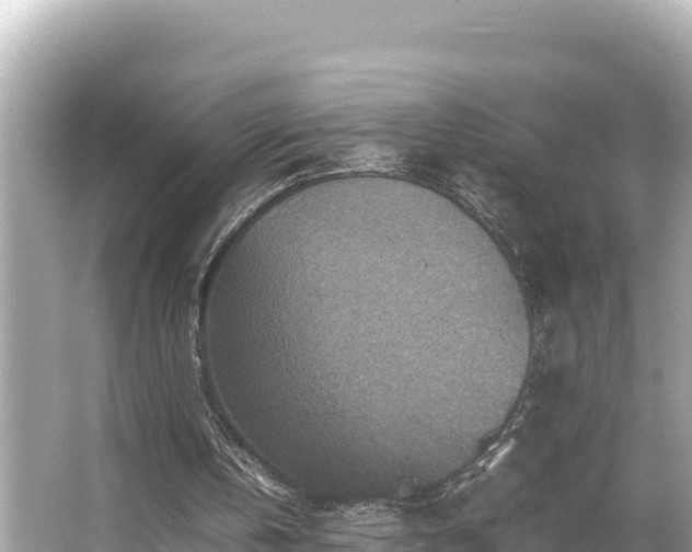 X0000066020146200603101631