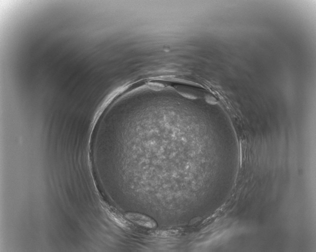 X0000066020147200603101631