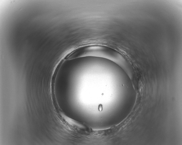 X0000066020148200603101631