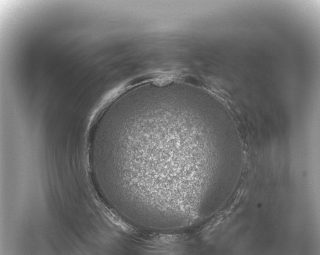 X0000066020149200603101631