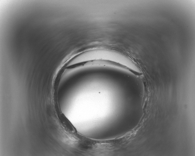 X0000066020150200603101632