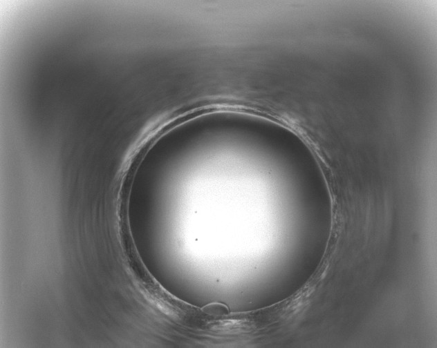 X0000066020151200603101632