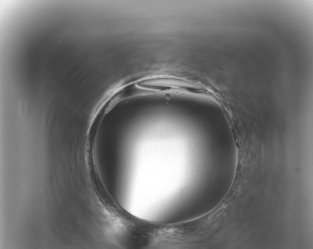 X0000066020152200603101632