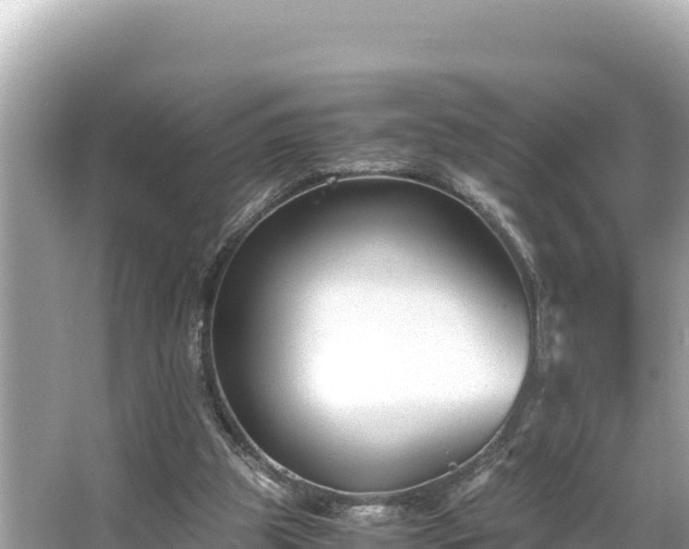 X0000066020153200603101632