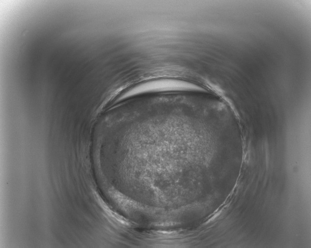 X0000066020154200603101632