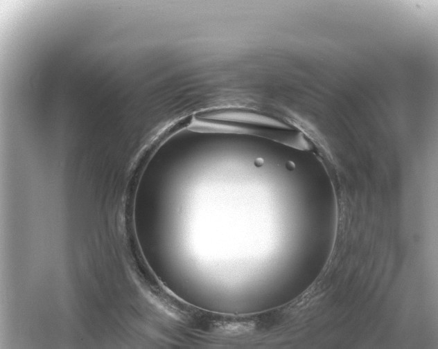 X0000066020155200603101632