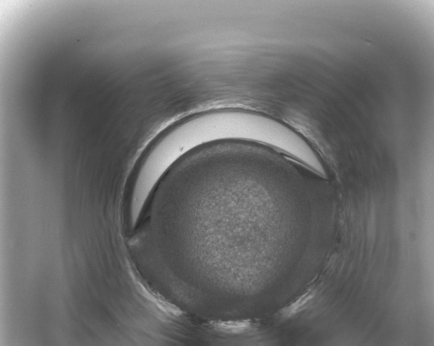 X0000066020156200603101632