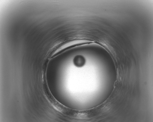 X0000066020157200603101632