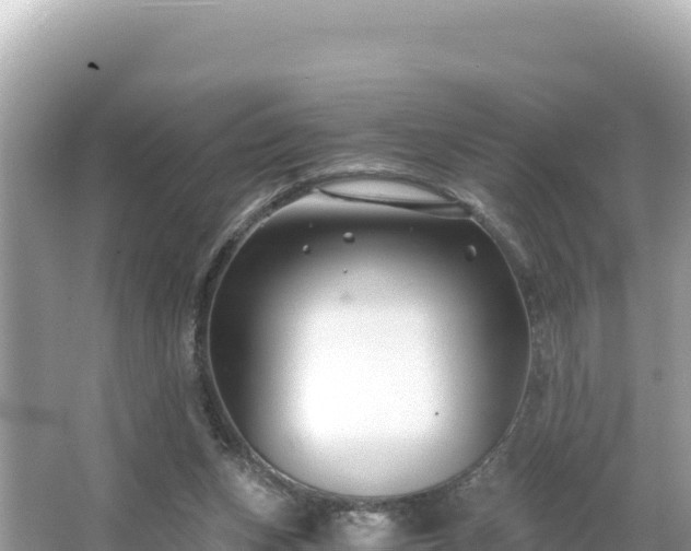 X0000066020159200603101632