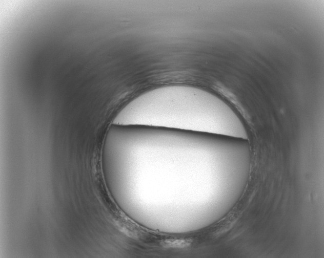 X0000066020161200603101632