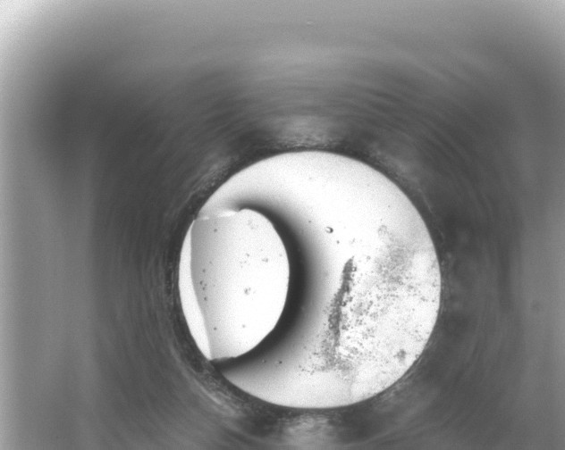 X0000066020162200603101632