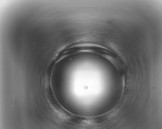 X0000066020164200603101632