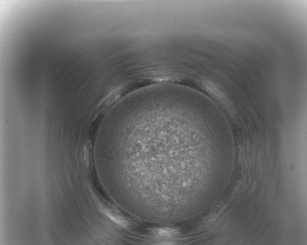 X0000066020165200603101632