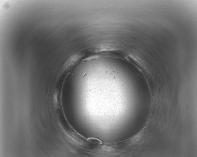 X0000066020166200603101632