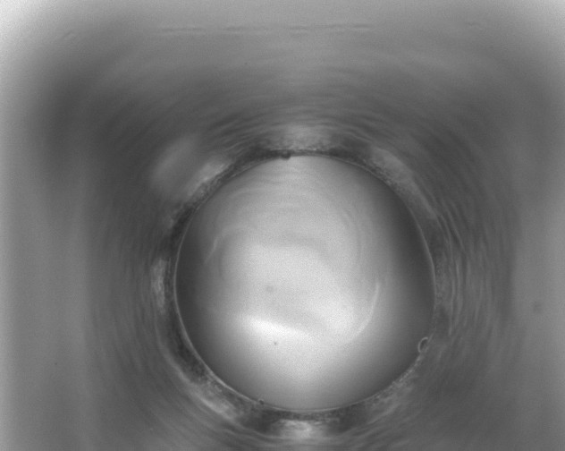 X0000066020167200603101632