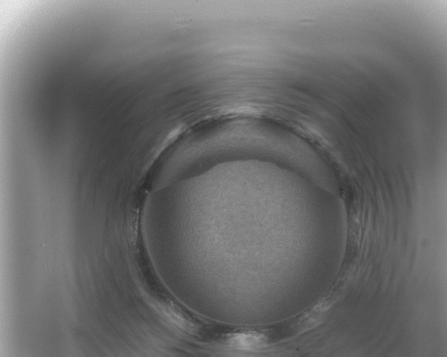 X0000066020168200603101632