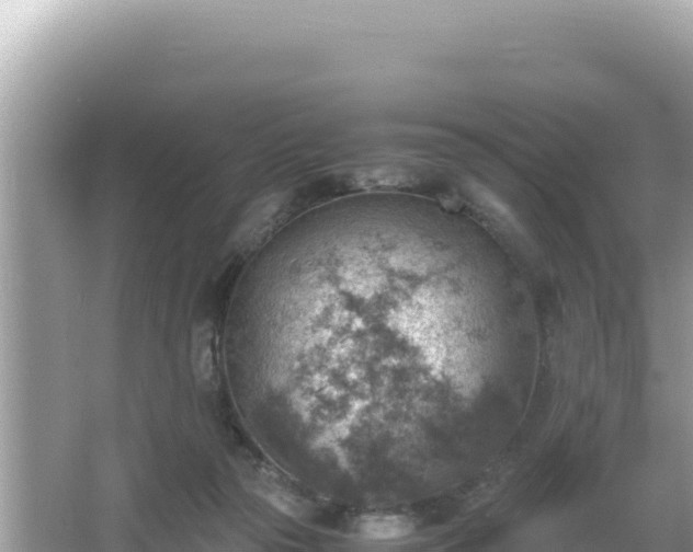 X0000066020169200603101632