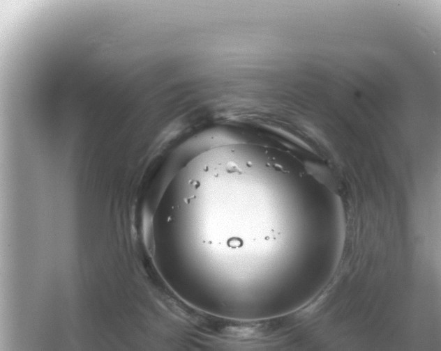 X0000066020170200603101632