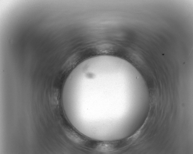 X0000066020174200603101632