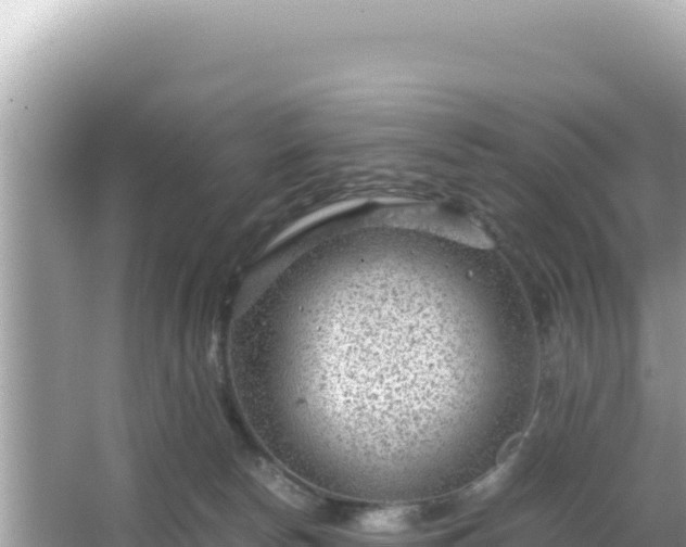 X0000066020178200603101632