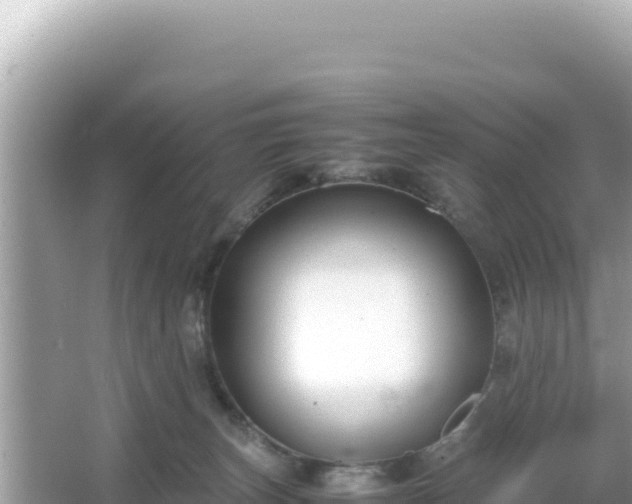 X0000066020179200603101632