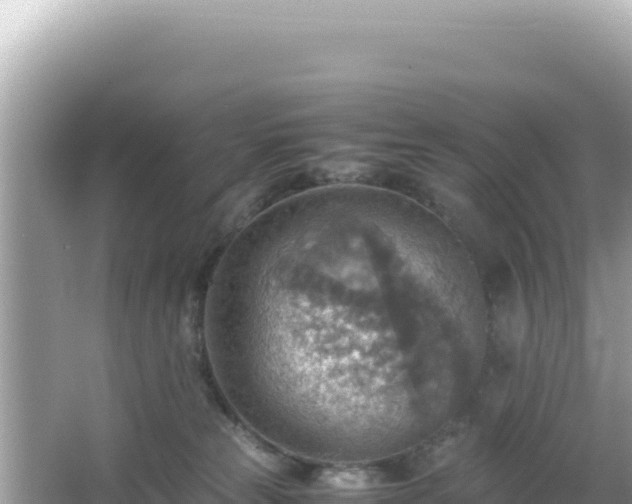 X0000066020181200603101632