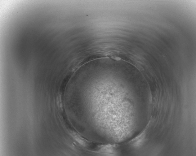 X0000066020182200603101632