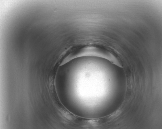 X0000066020184200603101632