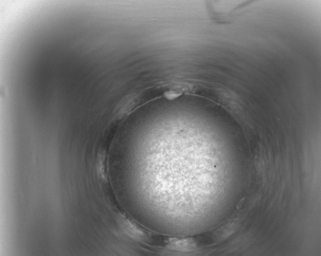 X0000066020185200603101632