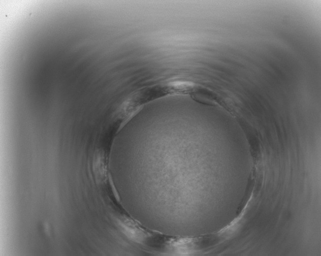 X0000066020186200603101632