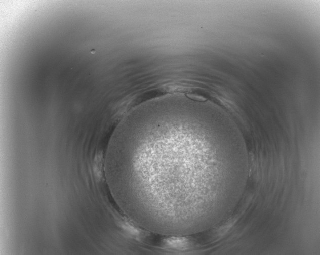 X0000066020189200603101632