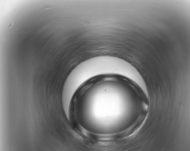 X0000066020190200603101632