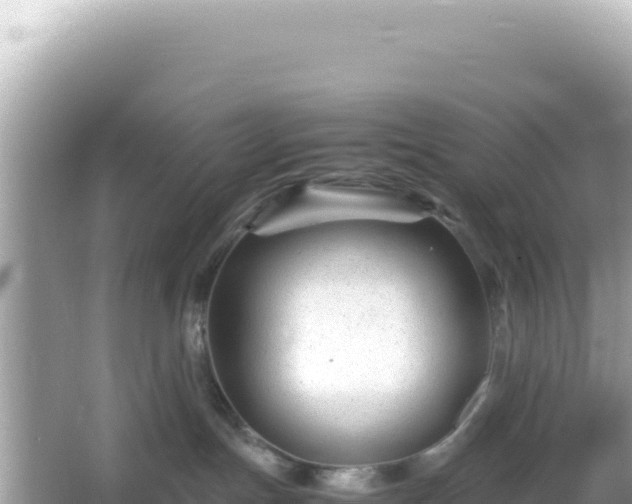 X0000066020191200603101632