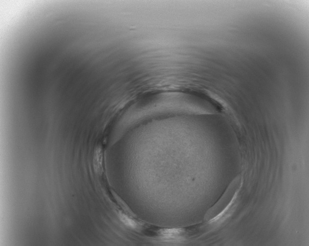 X0000066020192200603101632