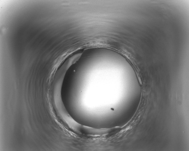 X0000066020193200603101631