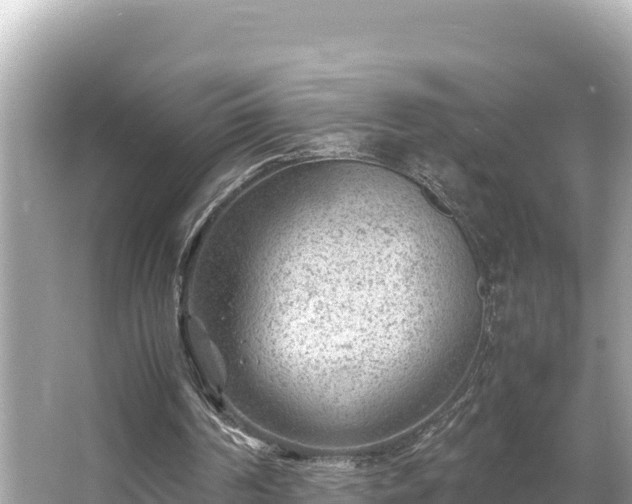 X0000066020194200603101631