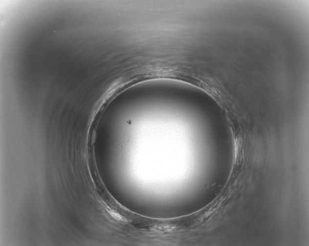 X0000066020195200603101631