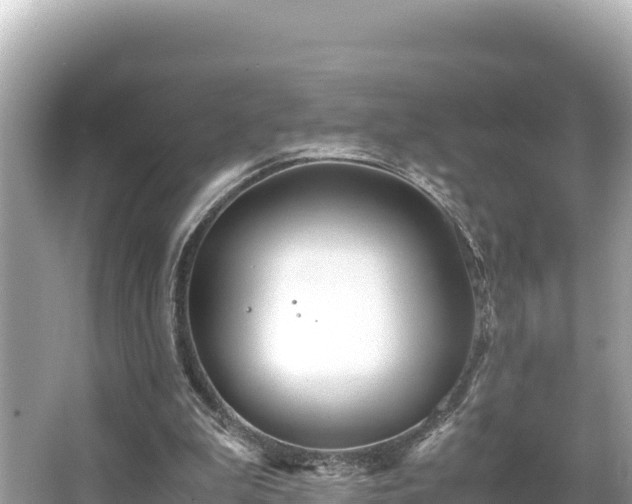 X0000066020199200603101631