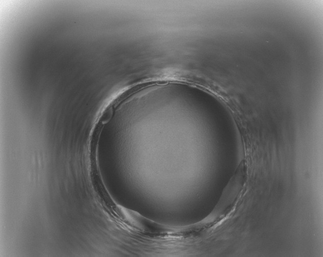 X0000066020200200603101631