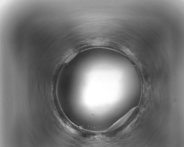 X0000066020201200603101631