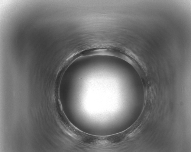 X0000066020203200603101631