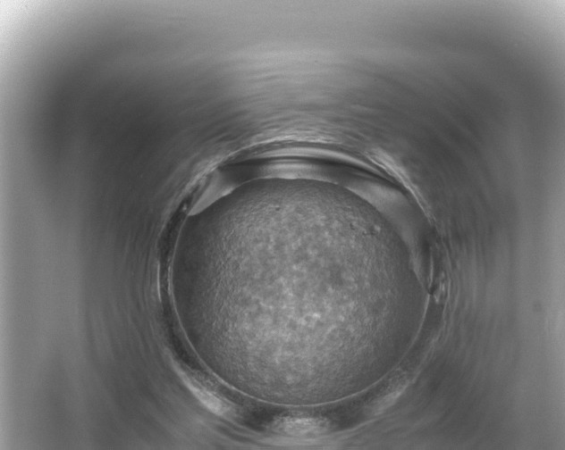 X0000066020205200603101631