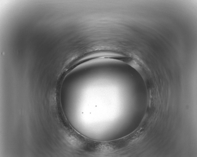 X0000066020207200603101631