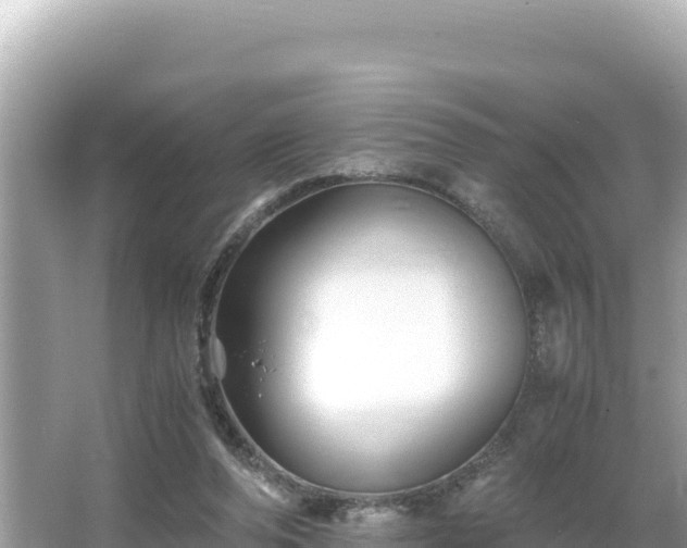 X0000066020208200603101631