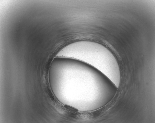 X0000066020209200603101631